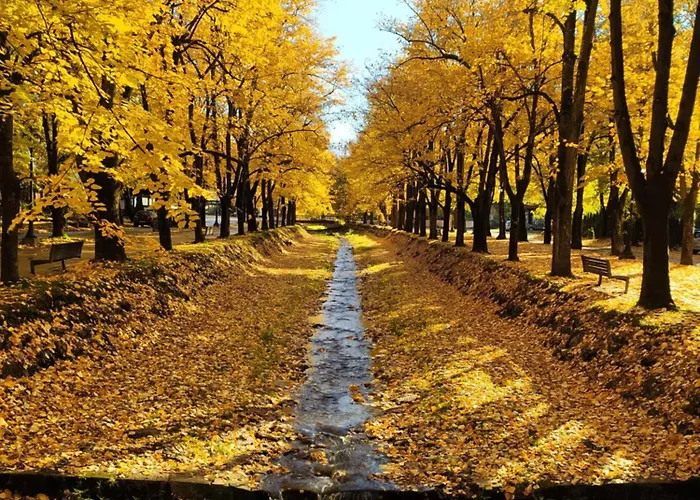 Amor Διαμέρισμα